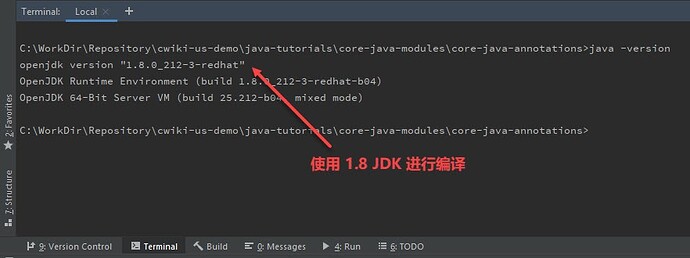 Java编译错误信息提示java.lang.ExceptionInInitializer如何解决