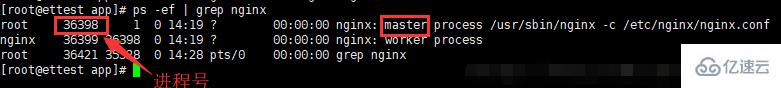 linux如何关闭nginx