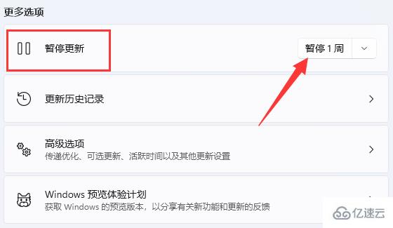 win11停止更新如何设置