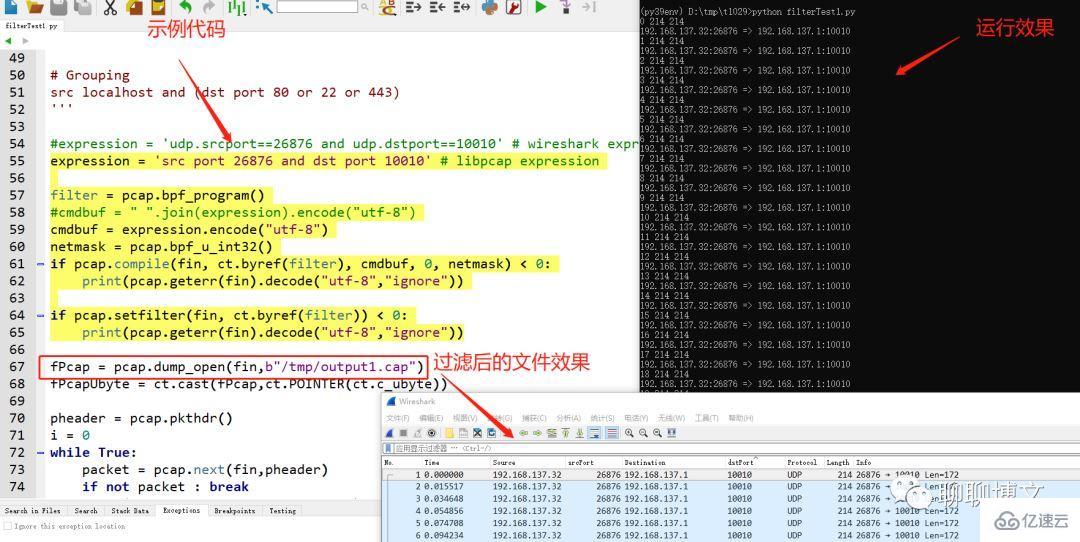 python如何使用libpcap库进行抓包及数据处理