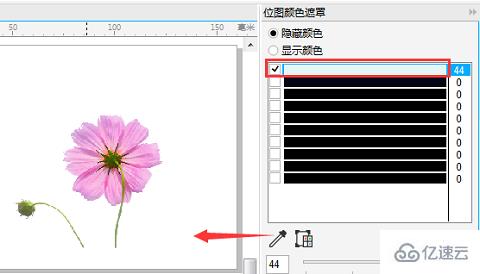 windows中coreldraw怎么去除图片底色