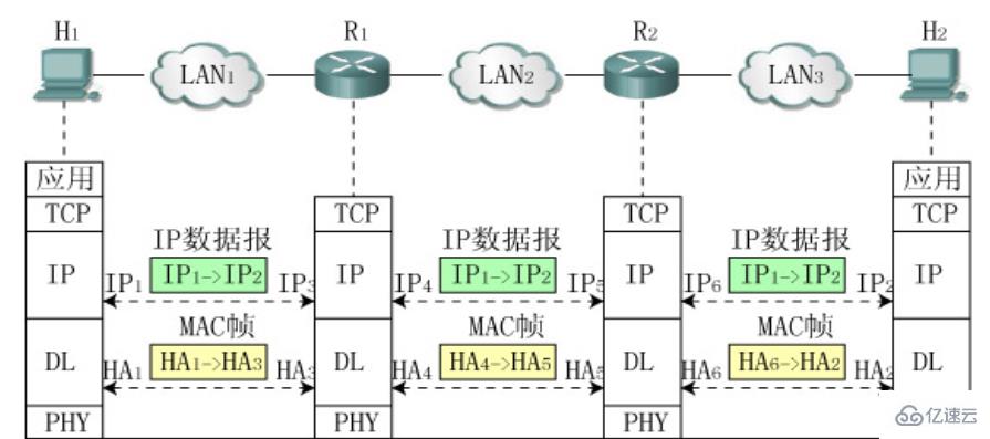 服务器7层网络结构模型是什么