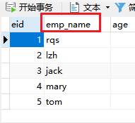 MyBatis如何自定义映射resultMap