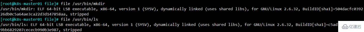 linux执行文件指的是什么