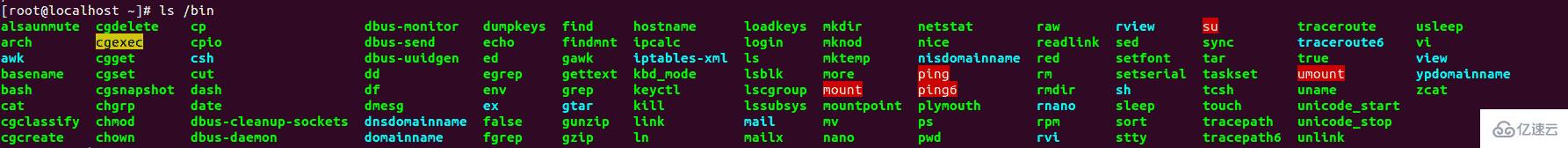 linux中bin目录的作用是什么  linux 第1张