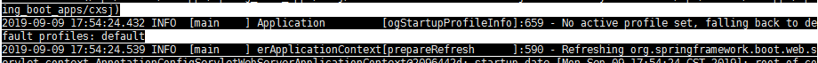 springboot指定profiles启动失败问题如何解决