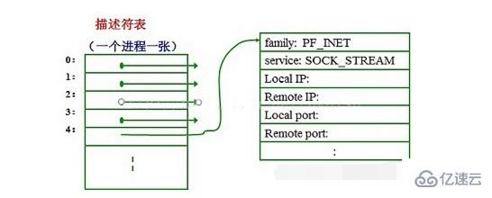 linux sock文件指的是什么