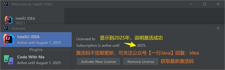 2023年IDEA最新永久激活的方法是什么