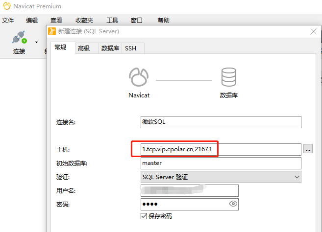 怎么异地远程访问本地SQL Server数据库