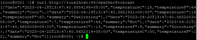 .net6如何安装和部署