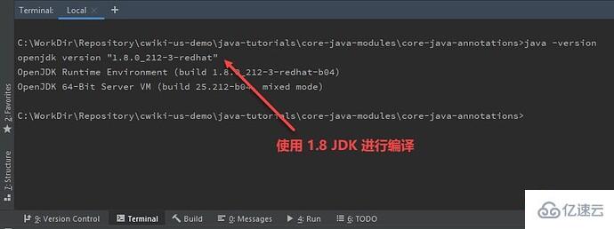 Java编译错误信息提示java.lang.ExceptionInInitializer怎么解决